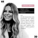 Kit Chroma Absolu para Cabelos Coloridos Grossos