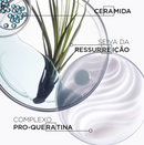 Shampoo Kérastase Résistance Bain Force Architecte